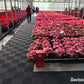 Swisstrax Ribtrax commercial flooring